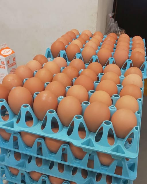 熊本県産の卵