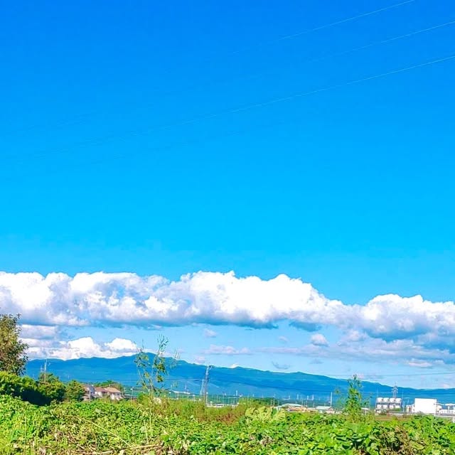 Instagram投稿：菊陽の空と畑